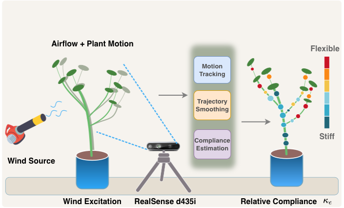 graphical_abstract_rce.png