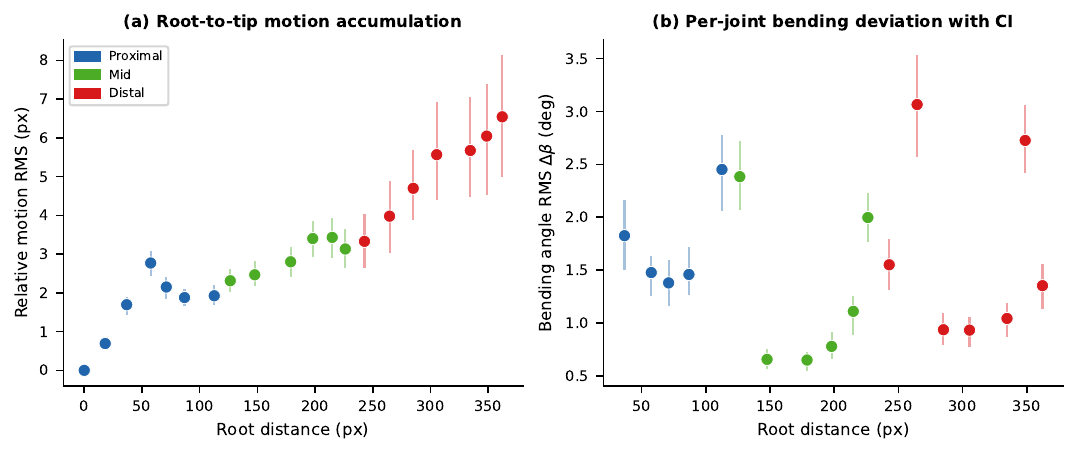 Node motion vs root distance — Plant 1