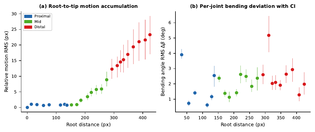 Node motion vs root distance — Plant 2