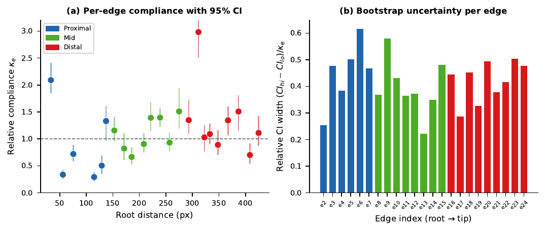Per-edge compliance vs root distance — Plant 2